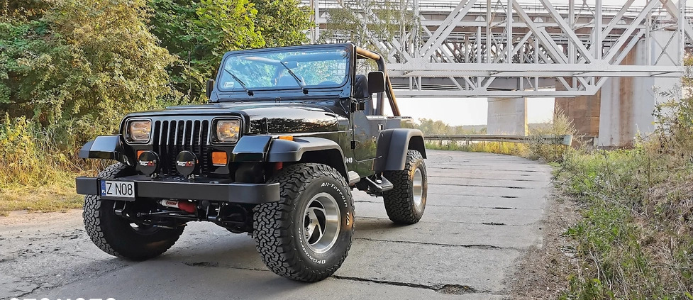 Jeep Wrangler cena 159900 przebieg: 130000, rok produkcji 1991 z Dobra małe 211